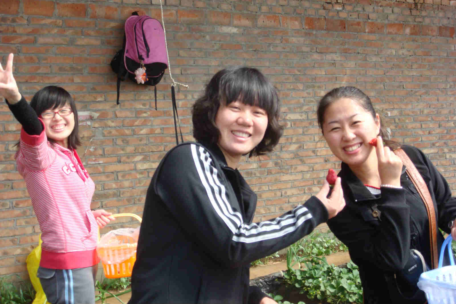 DSC02298_meitu_34.jpg